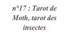 n°17 : Tarot de Moth, tarot des insectes